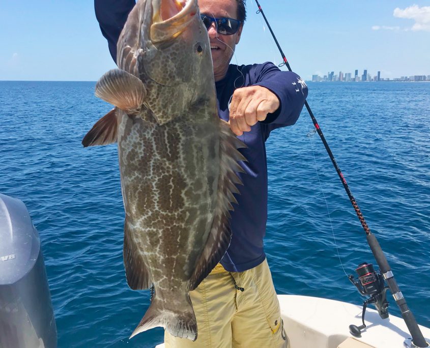 IMG 3090Rgrouper IMG 3090Rgrouper